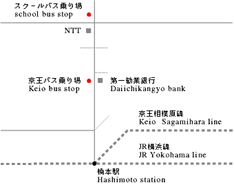 hashimoto.GIF