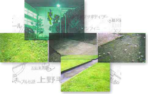 opening02.JPG